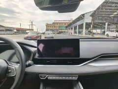 Geely Xingrui 2.0T Diesel Exclusive Cyan Green Edition - ფოტო 10