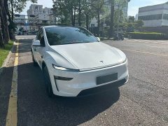 Tesla Model Y Rear-Wheel Drive - ფოტო 3