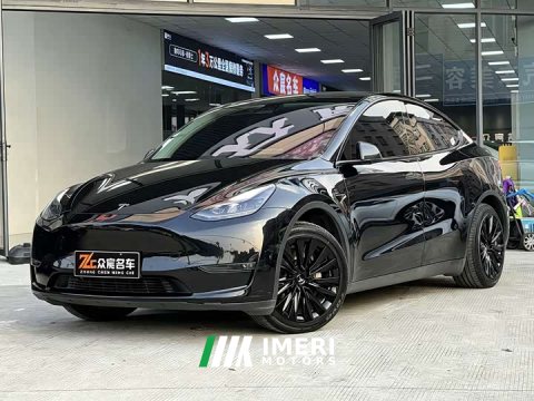 2021 Tesla Model Y Standard Range RWD - ავტომობილი ჩინეთიდან