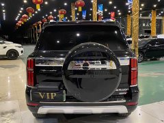 Tank 500 New Energy Hi4-T Black Warrior Edition - ფოტო 8