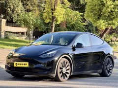 Tesla Model Y High Performance All-Wheel Drive - ფოტო 1