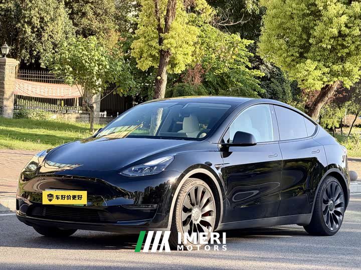 Tesla Model Y High Performance All-Wheel Drive
