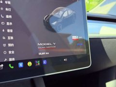 Tesla Model Y High Performance All-Wheel Drive - ფოტო 11