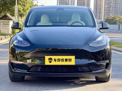 Tesla Model Y High Performance All-Wheel Drive - ფოტო 2