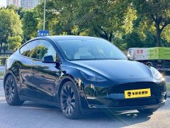 Tesla Model Y High Performance All-Wheel Drive - ფოტო 3