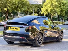 Tesla Model Y High Performance All-Wheel Drive - ფოტო 6