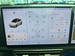Li Auto L6 Max - ფოტო 16