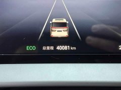 Denza BYD Denza D9 DM-i 980 Four-Wheel Drive Premium - ფოტო 14