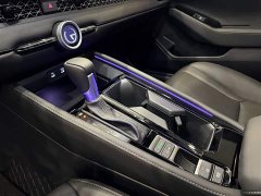 Honda Accord Sport Series 260TURBO Luxury - ფოტო 19