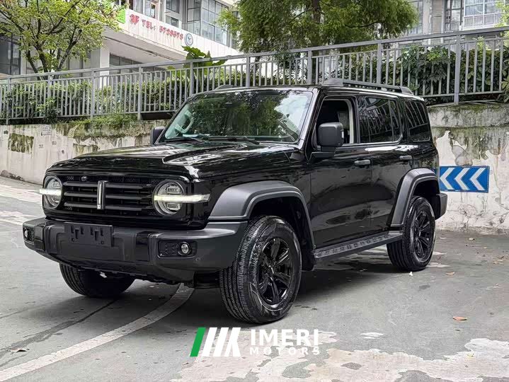 Tank 300 Off-Road Edition 2.0T Conqueror - ავტომობილი ჩინეთიდან