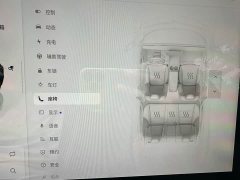 Tesla Model 3 Rear-Wheel Drive - ფოტო 9