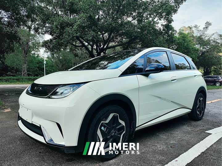 BYD Dolphin 405km Fashion Edition - ავტომობილი ჩინეთიდან
