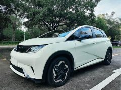 BYD Dolphin 405km Fashion Edition - ფოტო 1