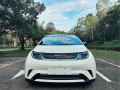 BYD Dolphin 405km Fashion Edition - ფოტო 2
