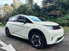 BYD Dolphin 405km Fashion Edition - ფოტო 3