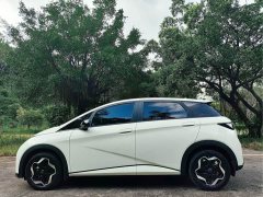 BYD Dolphin 405km Fashion Edition - ფოტო 4