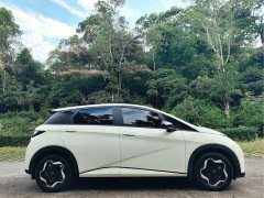 BYD Dolphin 405km Fashion Edition - ფოტო 6