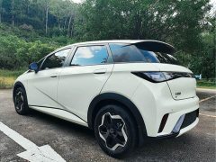 BYD Dolphin 405km Fashion Edition - ფოტო 7