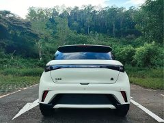 BYD Dolphin 405km Fashion Edition - ფოტო 8