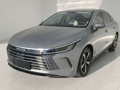 BYD Destroyer 05 DM-i 120KM Luxury - ფოტო 1