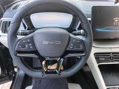 BYD Song Plus New Energy 2023 Champion Edition EV 520KM Luxury - ფოტო 12