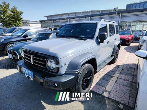 2021 Tank 300 Off-Road Edition 2.0T Conqueror - ავტომობილი ჩინეთიდან