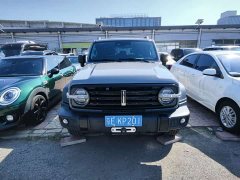Tank 300 Off-Road Edition 2.0T Conqueror - ფოტო 2