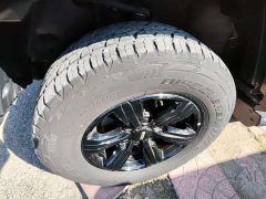 Tank 300 Off-Road Edition 2.0T Conqueror - ფოტო 4