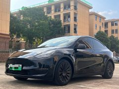 Tesla Model Y Long Range All-Wheel Drive - ფოტო 1