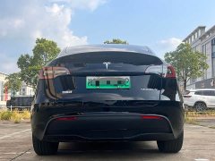 Tesla Model Y Long Range All-Wheel Drive - ფოტო 11