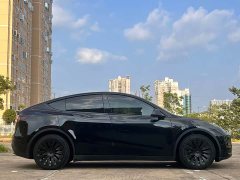 Tesla Model Y Long Range All-Wheel Drive - ფოტო 13