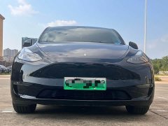 Tesla Model Y Long Range All-Wheel Drive - ფოტო 2