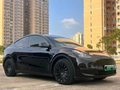 Tesla Model Y Long Range All-Wheel Drive - ფოტო 3