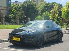 Tesla Model Y Standard Range RWD - ფოტო 1