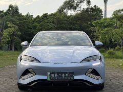 BYD Seal Champion Edition 550km Luxury - ფოტო 2