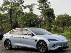 BYD Seal Champion Edition 550km Luxury - ფოტო 3
