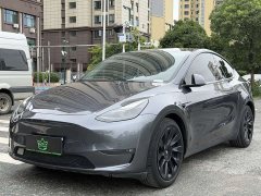 Tesla Model Y Long Range All-Wheel Drive - ფოტო 1