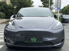 Tesla Model Y Long Range All-Wheel Drive - ფოტო 2