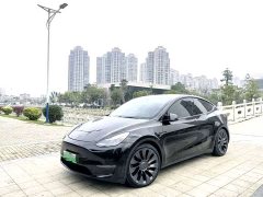 Tesla Model Y Performance All-Wheel Drive - ფოტო 1