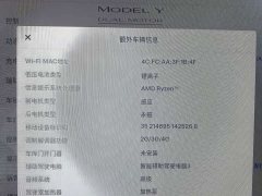 Tesla Model Y Performance All-Wheel Drive - ფოტო 10