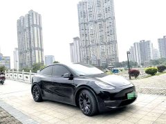 Tesla Model Y Performance All-Wheel Drive - ფოტო 2