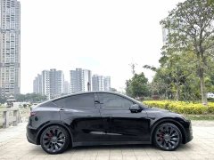 Tesla Model Y Performance All-Wheel Drive - ფოტო 3