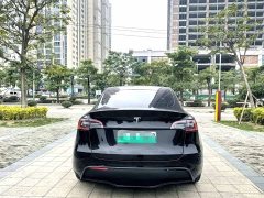Tesla Model Y Performance All-Wheel Drive - ფოტო 4