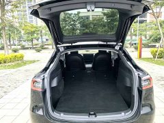 Tesla Model Y Performance All-Wheel Drive - ფოტო 5