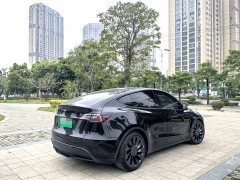 Tesla Model Y Performance All-Wheel Drive - ფოტო 6