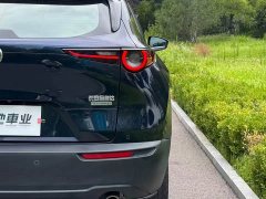 Mazda CX-30 2.0L Automatic Elegant Obsidian Edition - ფოტო 16