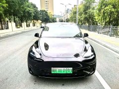 Tesla Model Y Rear-Wheel Drive - ფოტო 2