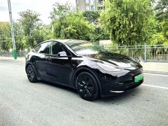 Tesla Model Y Rear-Wheel Drive - ფოტო 3