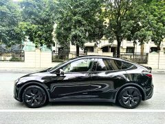 Tesla Model Y Rear-Wheel Drive - ფოტო 4