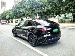 Tesla Model Y Rear-Wheel Drive - ფოტო 5